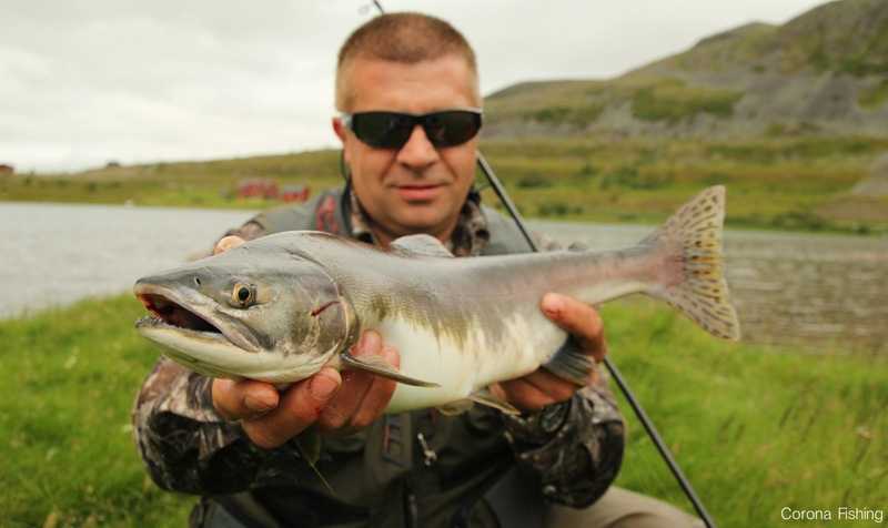 wędkarstwo corona fishing